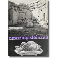 Müller, Francia et al. 2010 – Amazing Steinzeit