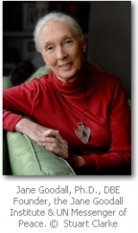 Jane Goodall
