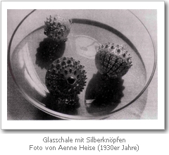 Glasschale mit Silberknöpfen (1930-er Jahre). Aufnahme von Aenne Heise