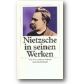 Andreas-Salomé 2000 – Friedrich Nietzsche in seinen Werken