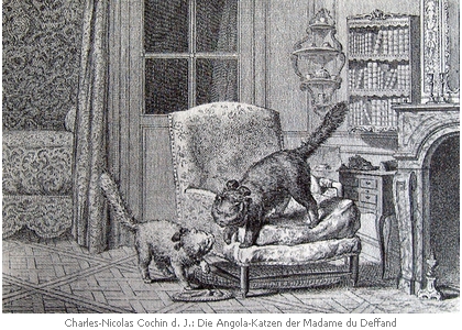 Die Katzen der Marquise du Deffand