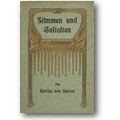 Suttner 1907 – Stimmen und Gestalten