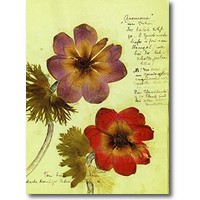 Luxemburg 2017 – Herbarium Postkartenset