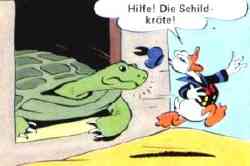 Frauenbild
